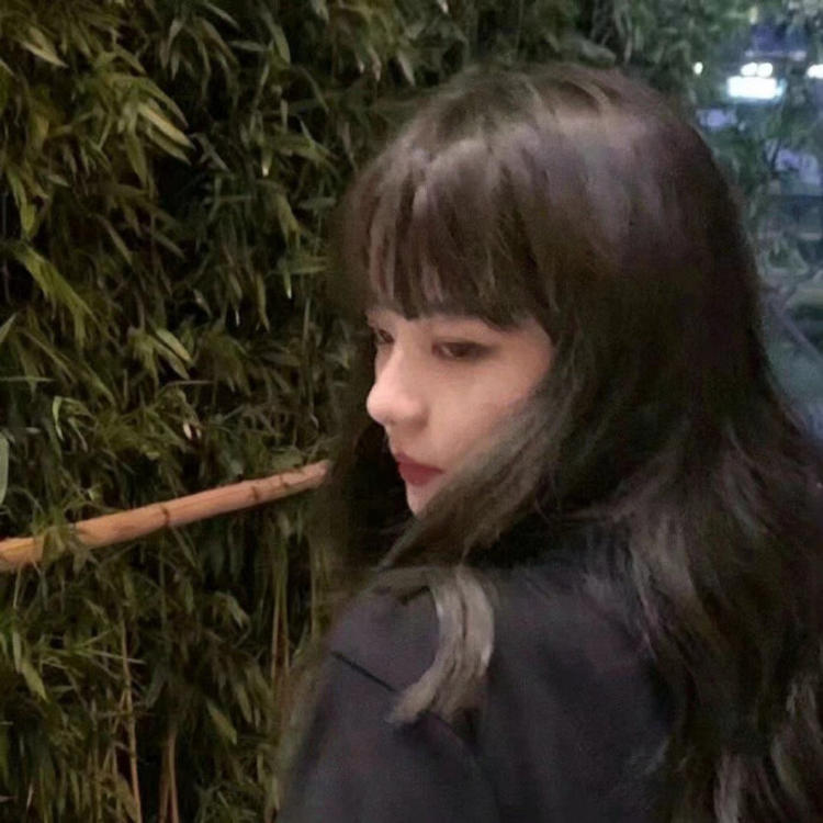高本宣弘 - 马酷电影大全在线观看8 - 小程序观影
